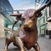 Bullring & Grand Central (@bullring) Twitter profile photo Bullring & Grand Central (@bullring) Twitter profile photo