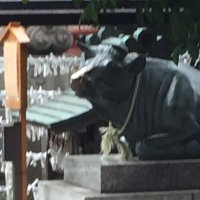 るん (@r8bq2pfk373afzz) 's Twitter Profile Photo