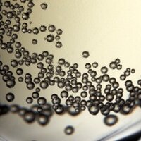 Bella Wines (@bellawines) 's Twitter Profile Photo