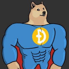 The world's most famous member of the DOGE family will be launching a pre-sale on FRIDAY JUL 2nd AT 3:00pm PST SuperDoge