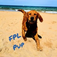 FPL_Pup 🐶 (@fplpup) 's Twitter Profile