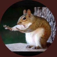 bleu 🐿(@nybleu16) 's Twitter Profile Photo