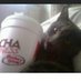 Macho’s MOM Jaime 💕💜 (@momof2catzmeow) Twitter profile photo Macho’s MOM Jaime 💕💜 (@momof2catzmeow) Twitter profile photo