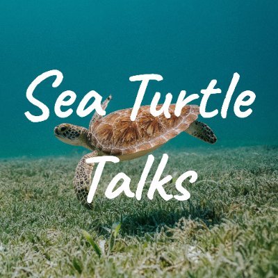 #SeaTurtleTalks is a free, 3-day (Sep 14-16), ISTS supported virtual event. Follow us for updates & info about #seaturtle #research #conservation #management