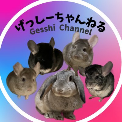 【🐭ちゃこ】2019.8.30♀【🐰ちぇっぷる】2019.11.12♀【🐭だいごろう】2020.7.6♂ 【🐭りんちゃん】2020.10.17♀ 2024.2.15🌈【🐭バルくん】2020.9♂ 飼い主のcleyera(ｸﾚｲﾗ) YouTube、Instagram、Xもやってます🤗