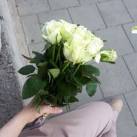hellohanife (@_haniffe_) 's Twitter Profile