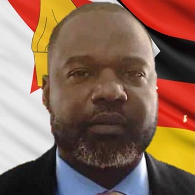 President of Patriotic Zimbabweans party who envisions a Zimbabwe which harnesses the untapped potential of the marginalized diaspora.