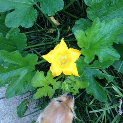 searchresults5's profile picture. 