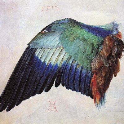 babilseyahat's profile picture. 