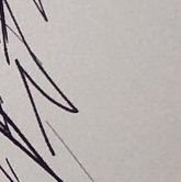 pomakku1's profile picture. ROM専