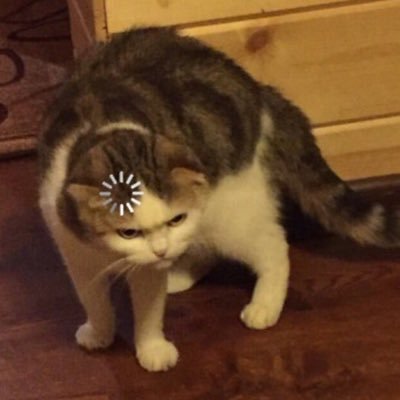 ealbertbrooke's profile picture. #คลังบี่บี๋  👀