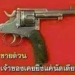 นฤมล เสาเปีย