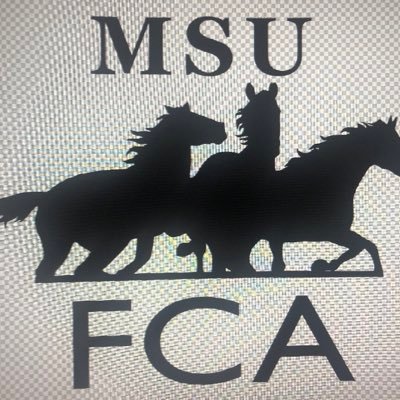 FCA-MSUTEXAS