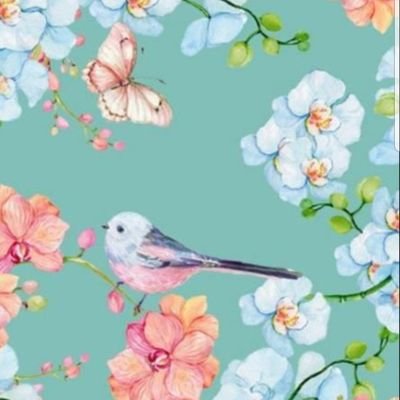 EmilyMcMillen11's profile picture. 