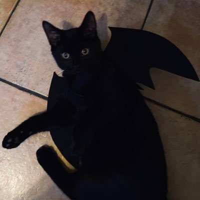 JemNob's profile picture. 