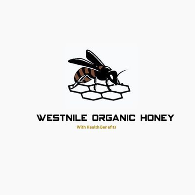 Westnile Organic Honey is an enterprise that has specialized in beekeeping since 2018 .We supply purely high quality organic honey.