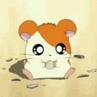 nonunic (@nonunic) 's Twitter Profile