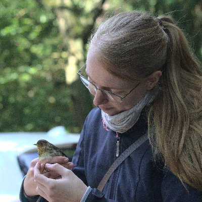 PhD student, scientist and artist with a particular interest in birds