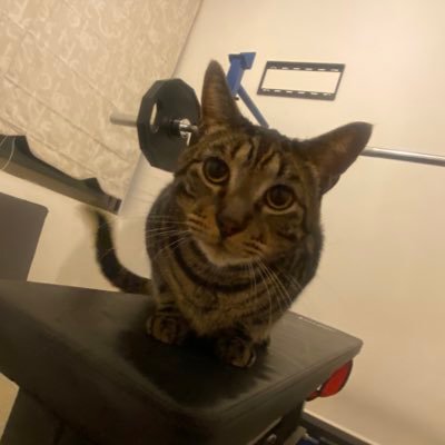 eduardo68367637's profile picture. Santiaguino viviendo en Iquique 🌊🌤#SoyDonante,  Colocolino.