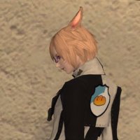 Ceres FF14他ゲーム色々(@Ceres_B) 's Twitter Profile Photo