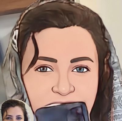 setarehmibasham's profile picture. 