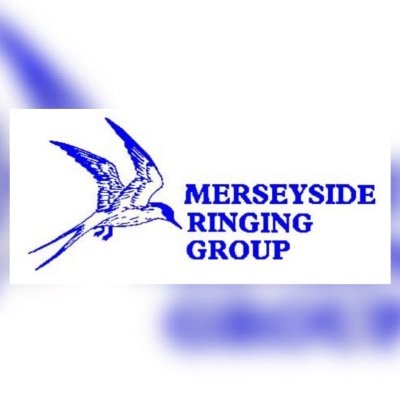 MerseysideRG Profile Picture