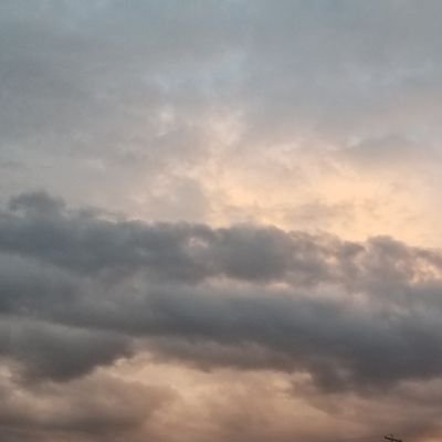 Junior54112576's profile picture. 
