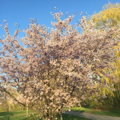 Here for the interesting and literate, with a side of nature.
Male mid 50’s.