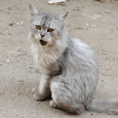 BmvwDpToHZuiD4R's profile picture. 