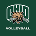 Ohio Volleyball (@OhioBobcatsVB) Twitter profile photo