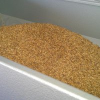 C.Salamanca (@cervezabizarra) 's Twitter Profile Photo