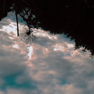 LailaSi68785903's profile picture. name: Laila
age: 14
like: pop, kpop, drawing, dancing and eating 🌺