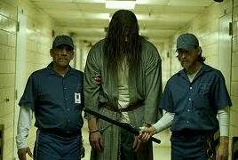 Team1318's profile picture. 