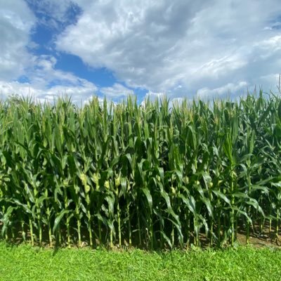 Farming and football. ✝️ 🇺🇸 🌽 🌾 🌱