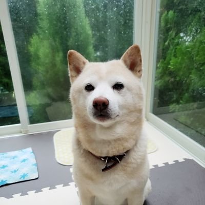 Tecci17's profile picture. 