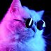 Keon ¯\_(^.^)_/¯ (@sadcatlover) Twitter profile photo Keon ¯\_(^.^)_/¯ (@sadcatlover) Twitter profile photo