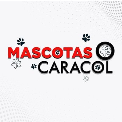 Mascotas Caracol