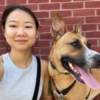 Eunice Choi (@minyungee) 's Twitter Profile Photo