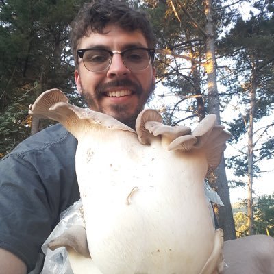 WilliamMycelium's profile picture. Mycologist, Advocate
