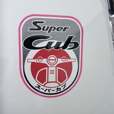 ｹﾞﾋﾞﾊｼﾞｵ (@vg01r) / Posts / X