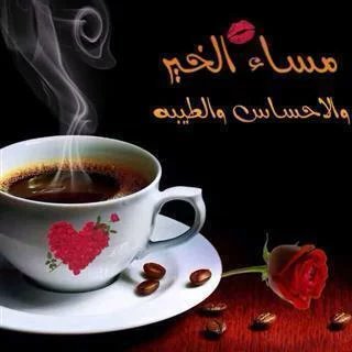 Ibrahim40488586's profile picture. 