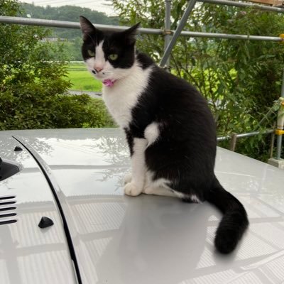 MSakura16709080's profile picture. 健康で豊かで幸せで楽しい 愛と光と調和を求め🙏愛のポジティブ波動上げて魂を楽しんでいます🙏💕🙏