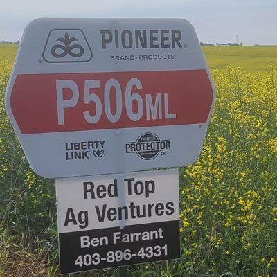 My wife and I own and operate Red Top Ag Ventures LTD. We are a Pioneer Hi-Bred dealer and have a purebred Simmental herd.