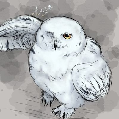 Indigo_Moth.exeさんのプロフィール画像