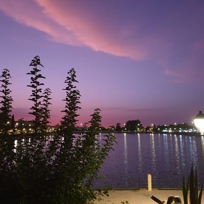 Super_t_m's profile picture. 