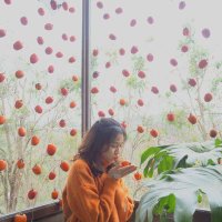 Nhu Y (@nhuynguyen75) 's Twitter Profile