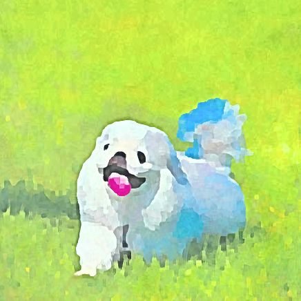 mAt92nKK3C9Vzm7's profile picture. 我が家の爬虫類と愛犬をメインに投稿します