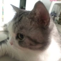 Problemsnine (@problemsnine) 's Twitter Profile