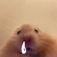 몽몽 (@dommoog) 's Twitter Profile