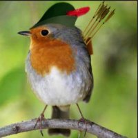 A little bird told me🐦 (@alittletweet) 's Twitter Profile